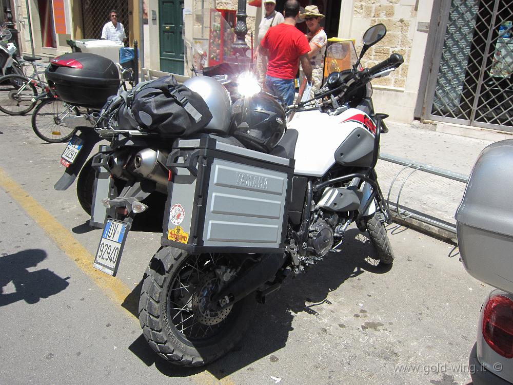 IMG_0014.JPG - La Yamaha XT660Z Teneré