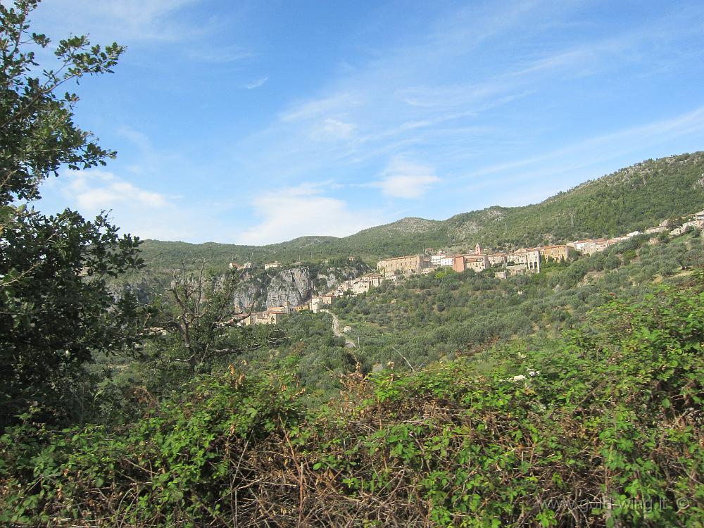 IMG_0246.JPG