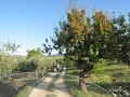 IMG_0051