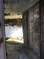 IMG_0185