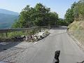 IMG_0441
