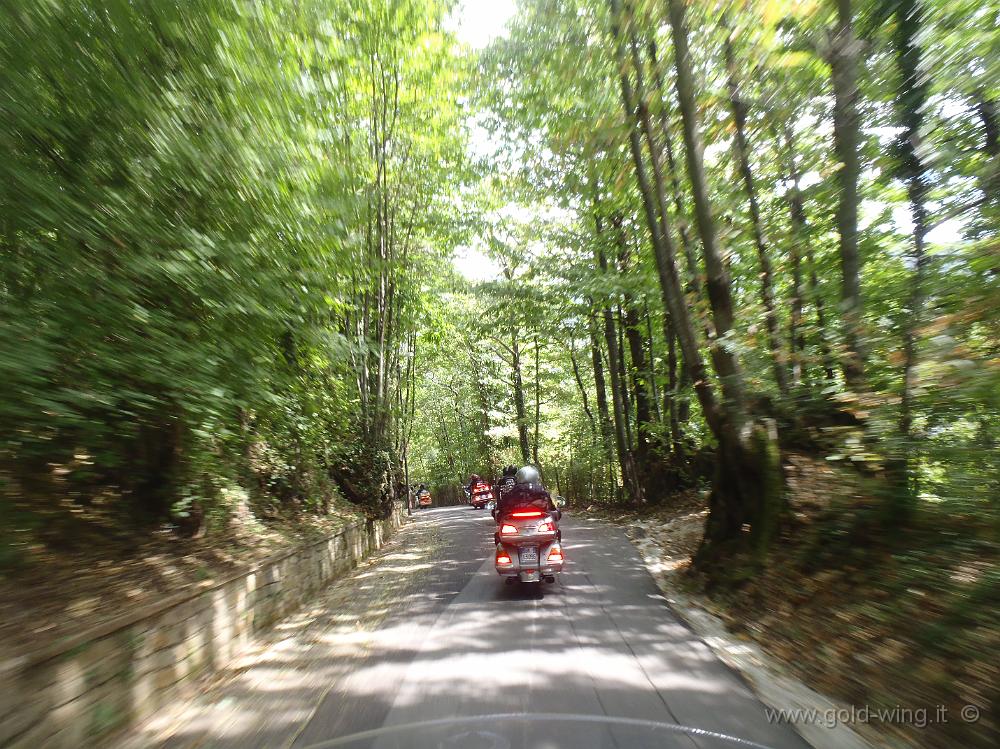 P9050347.JPG - Roccagiovine (RM)