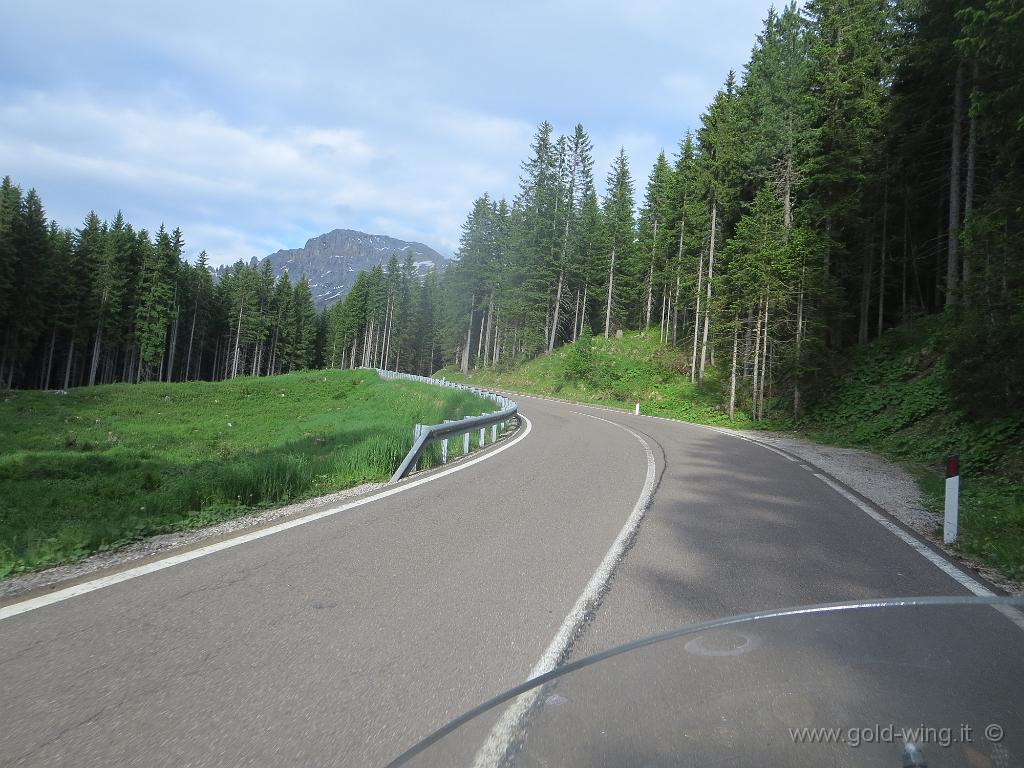 IMG_0796.JPG - Salita al passo Lavazè (m 1.805) (BZ)