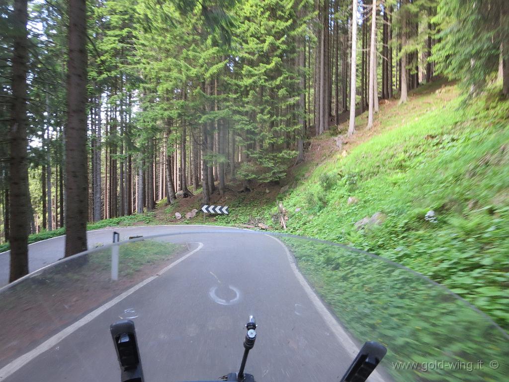 IMG_1106.JPG - Discesa dal passo Manghen (m 2.047) (TN)