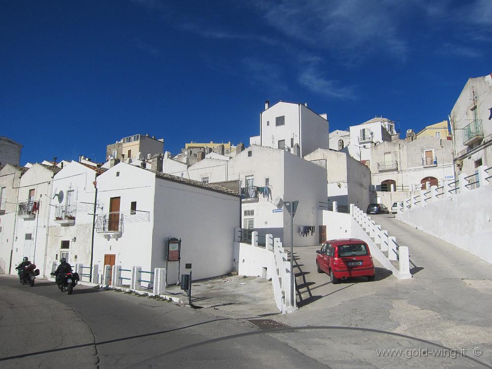 IMG_0045.JPG - Monte Sant'Angelo, m 800
