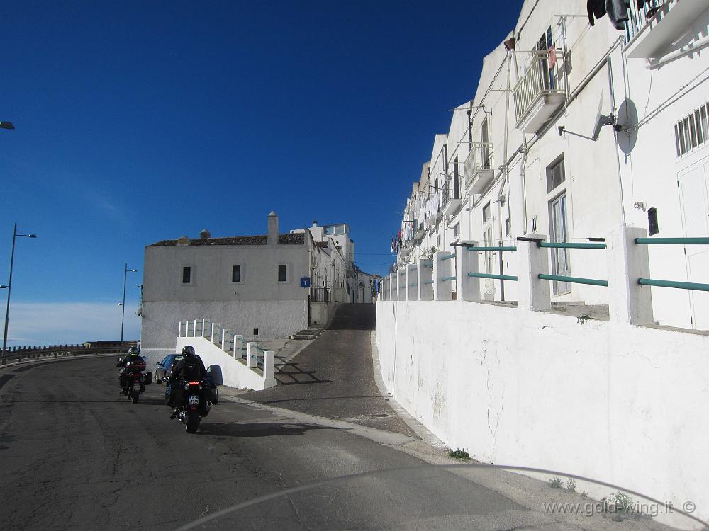 IMG_0046.JPG - Monte Sant'Angelo, m 800