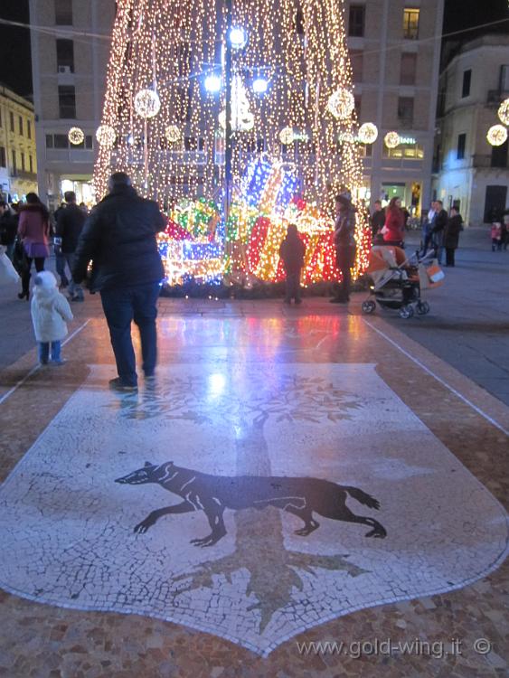 IMG_0103.JPG - Lecce, piazza Sant'Oronzo: il simbolo della città (la lupa sotto il leccio)