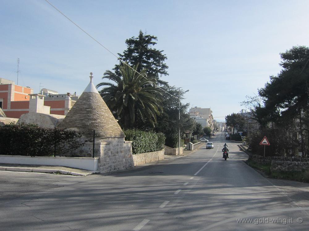 IMG_0016.JPG - Locorotondo: trulli