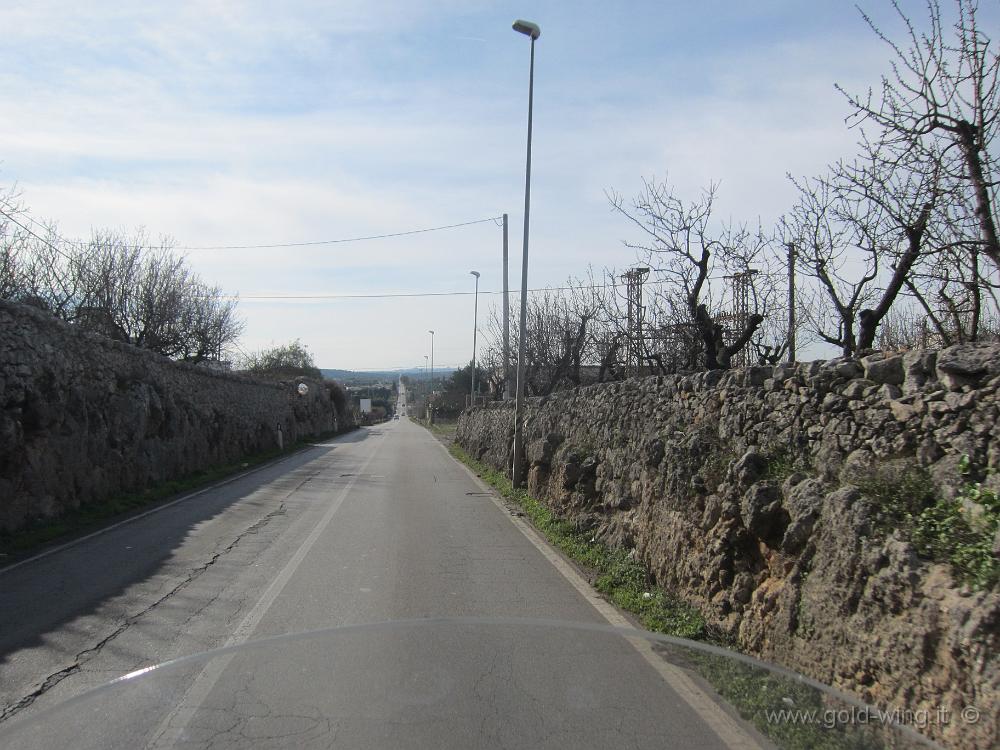 IMG_0043.JPG - I 9 km di rettilineo ondulato tra Ostuni e Ceglie Messapica