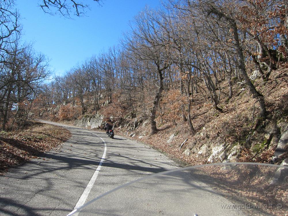 IMG_0041.JPG - Salita verso il valico di Cupolicchio (m 1035)
