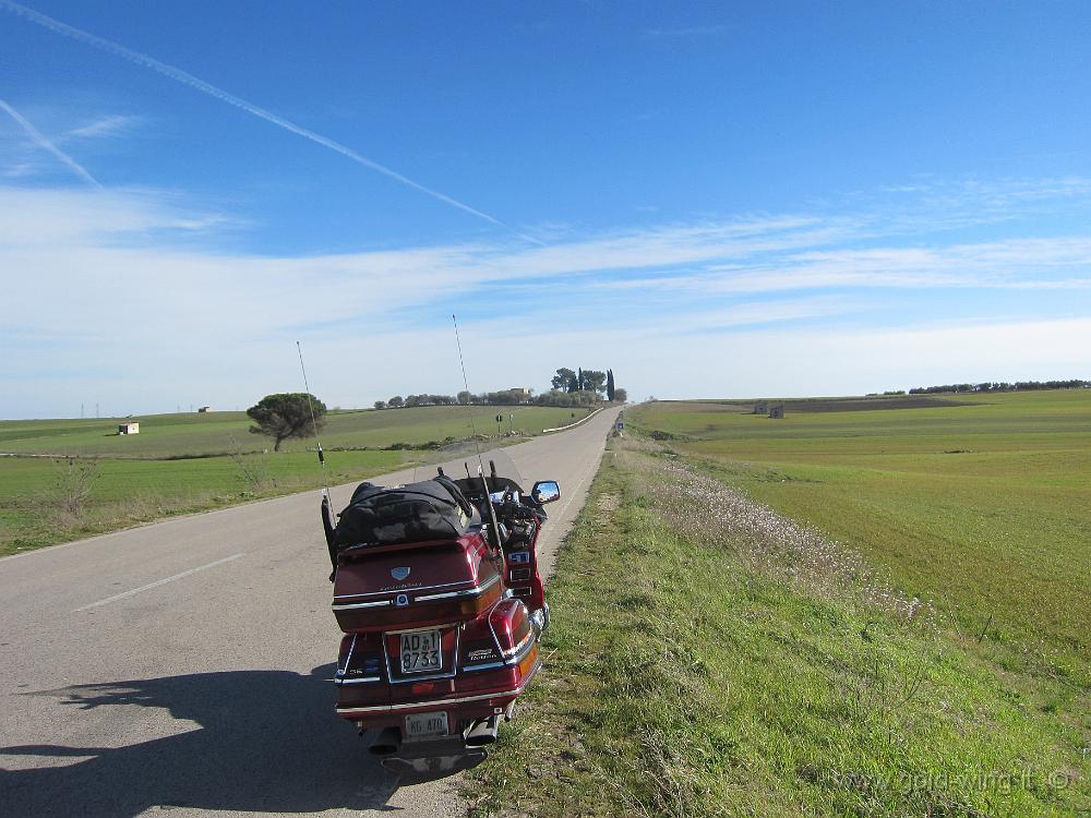 IMG_0071.JPG - Via Appia Antica, nel tratto che segna il confine tra Puglia (a sinistra) e Basilicata (a destra)