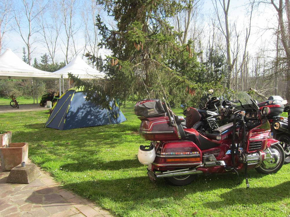 IMG_0065.JPG - Agriturismo: montata la tenda. Spazio ce n'è