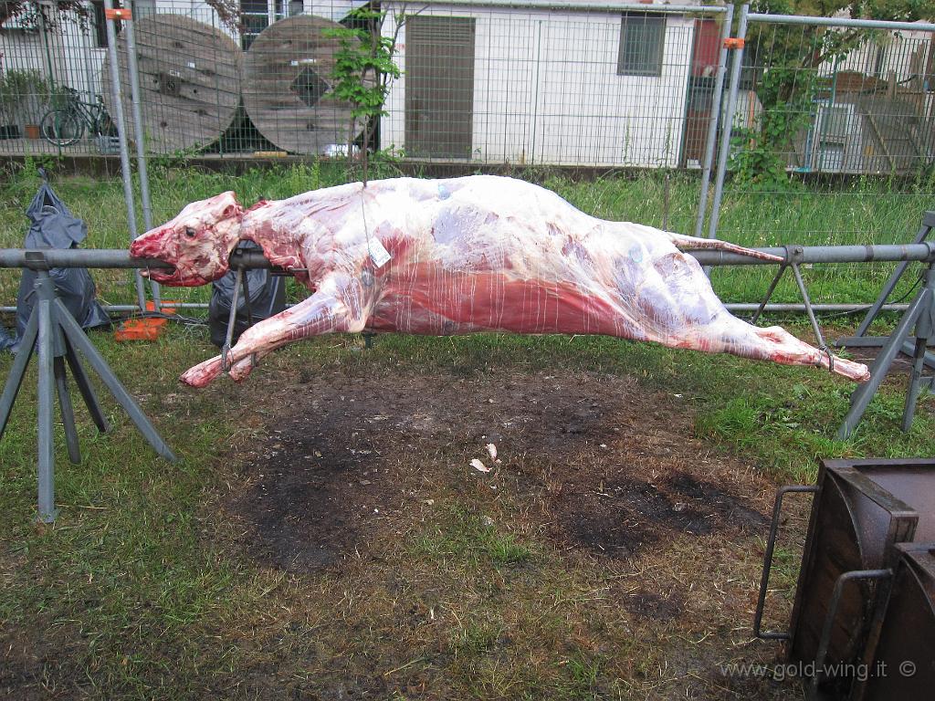IMG_0020.JPG - Arrosto