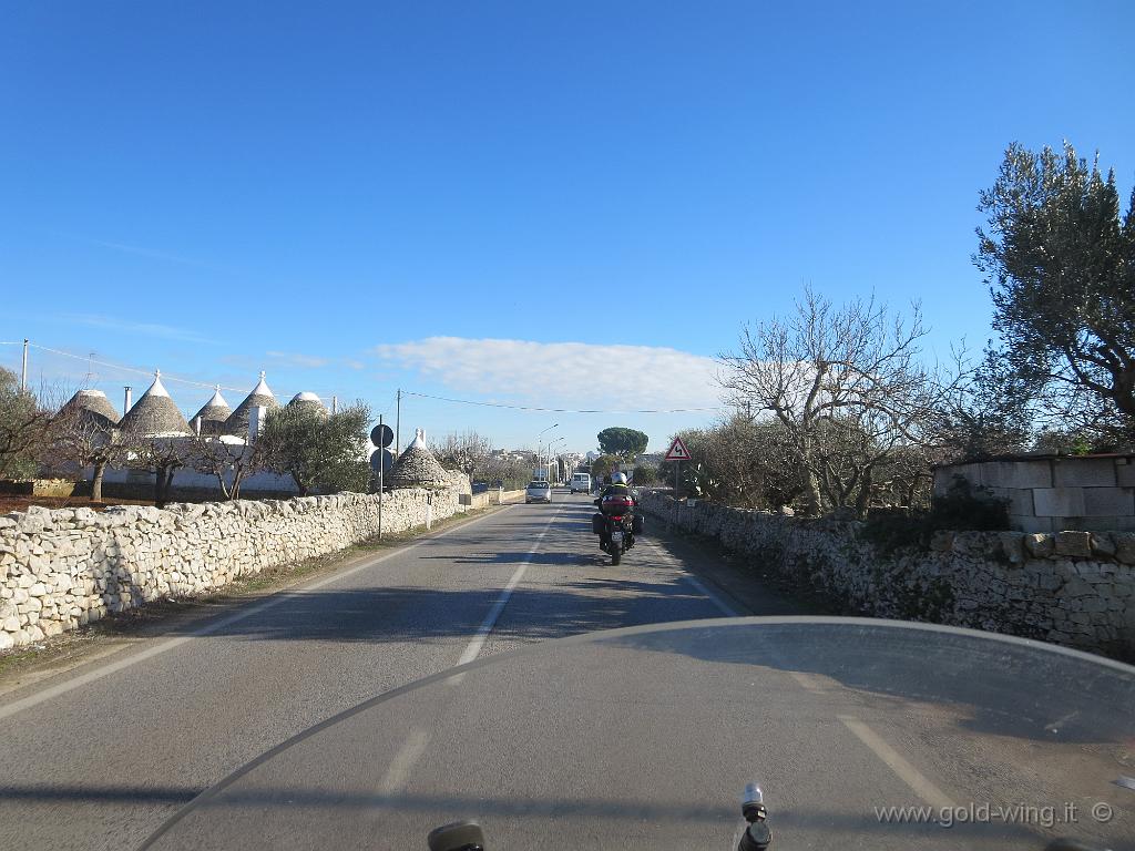 IMG_1519.JPG - Tra Alberobello e Locorotondo