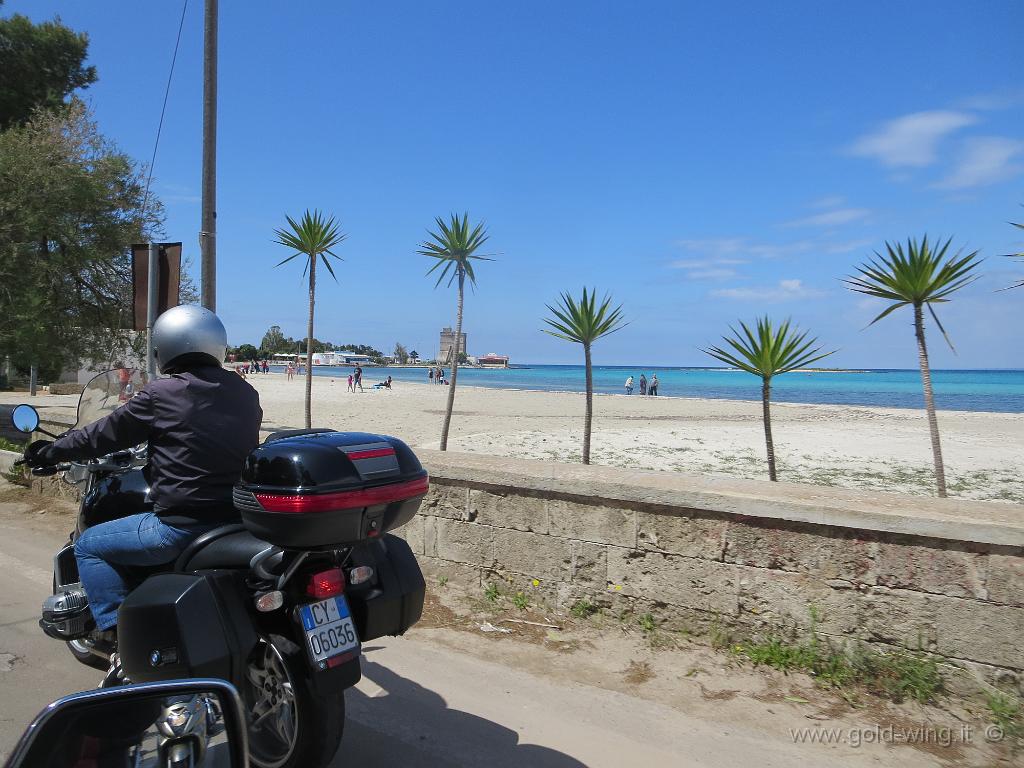 IMG_0017.JPG - Spiaggia di S.Isidoro: gente che prende il sole