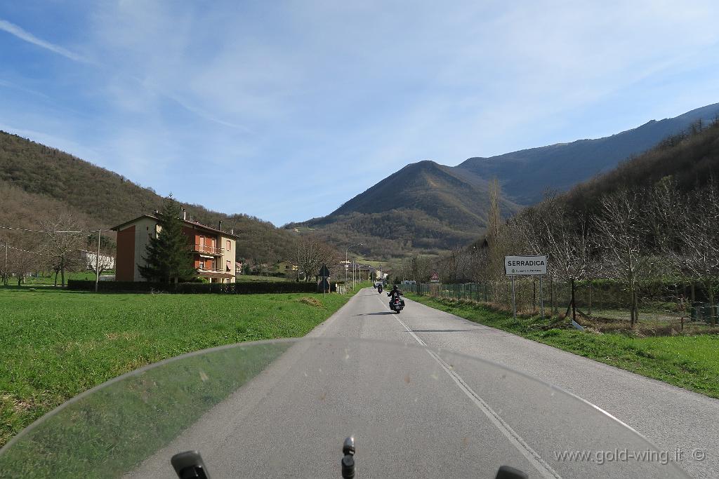 IMG_0101.JPG - Serradica (AN)