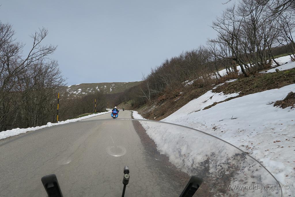 IMG_0196.JPG - Salita al Monte Nerone (m 1.525), versante sud