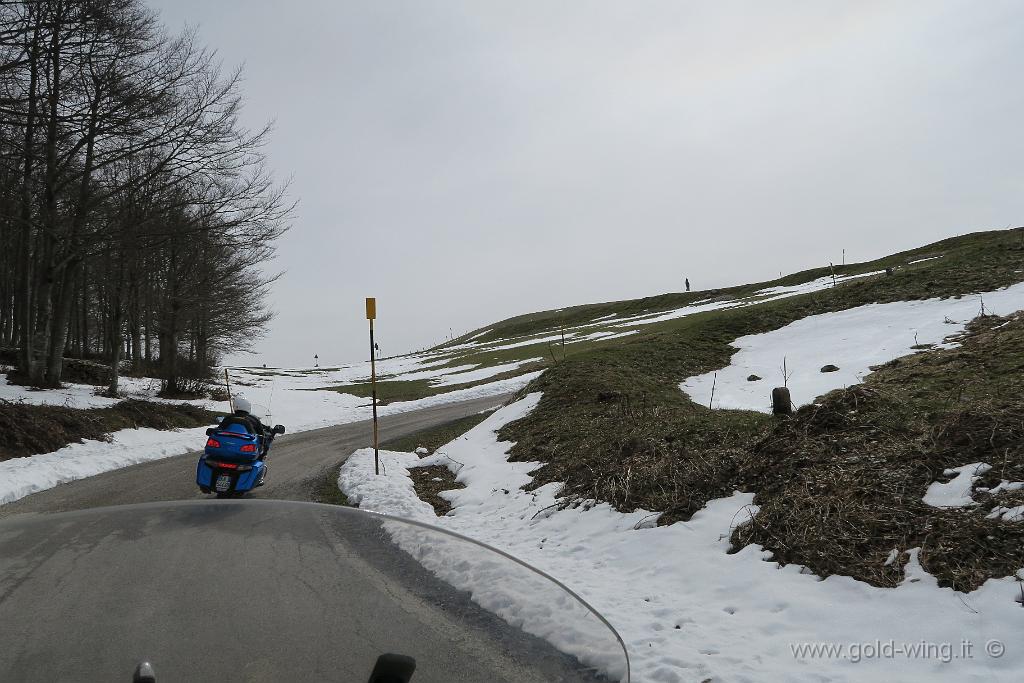IMG_0200.JPG - Salita al Monte Nerone (m 1.525), versante sud