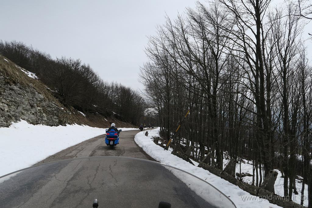 IMG_0224.JPG - Discesa dal Monte Nerone (m 1.525), versante sud