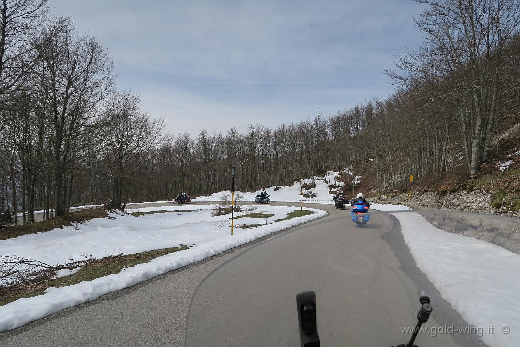 IMG_0231.JPG - Discesa dal Monte Nerone (m 1.525), versante sud