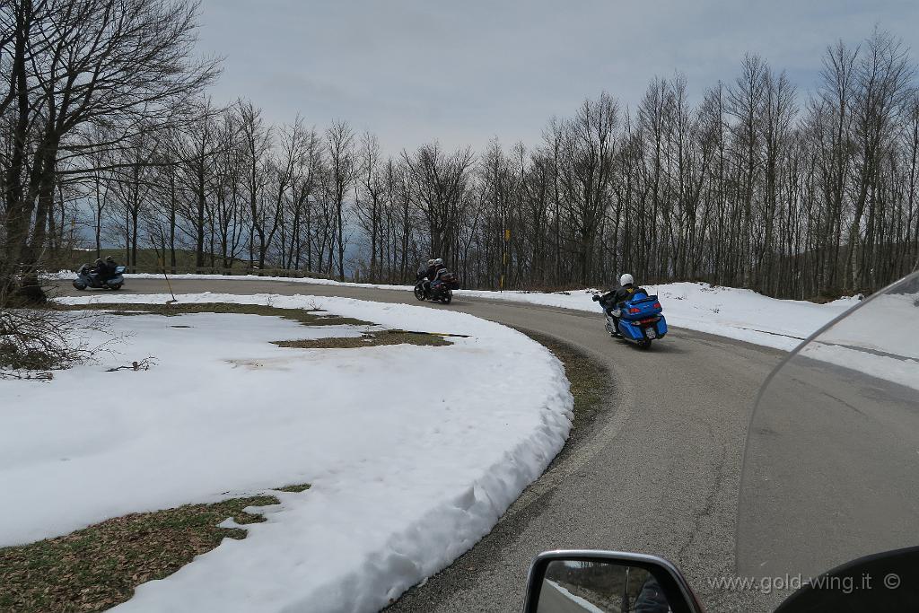 IMG_0233.JPG - Discesa dal Monte Nerone (m 1.525), versante sud