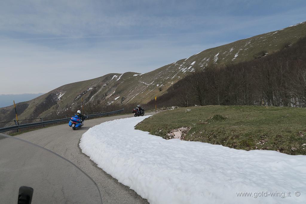 IMG_0236.JPG - Discesa dal Monte Nerone (m 1.525), versante sud