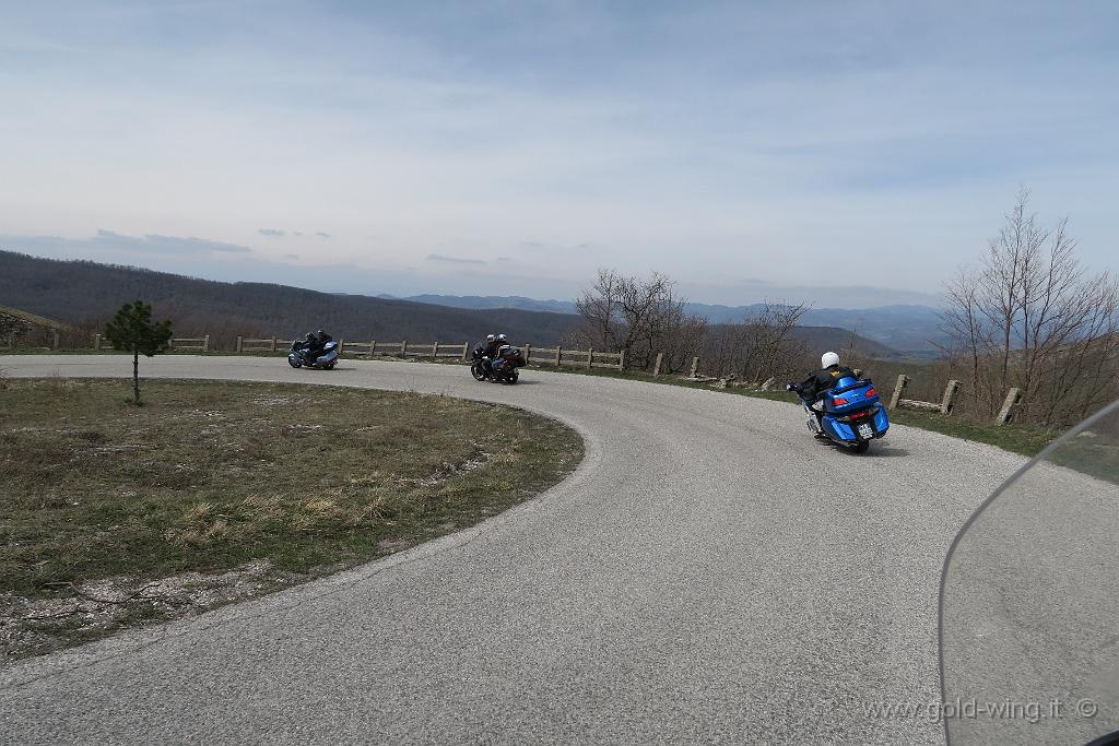 IMG_0251.JPG - Discesa dal Monte Nerone (m 1.525), versante sud