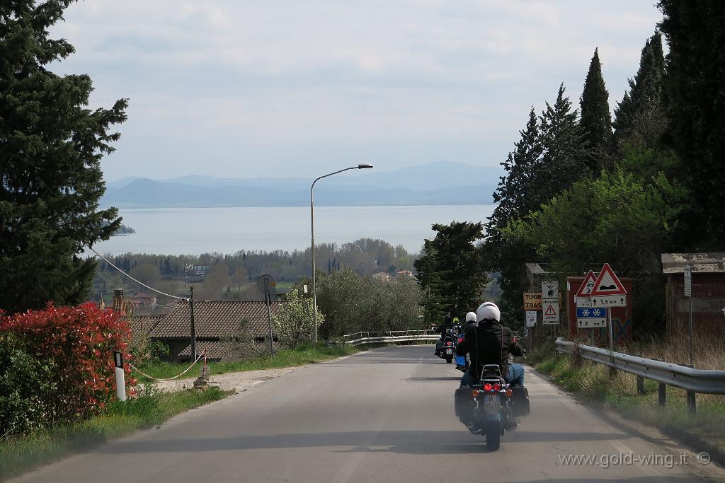 IMG_0360.JPG - Discesa da Gosparini (m 604), verso il Lago Trasimeno (m 258)