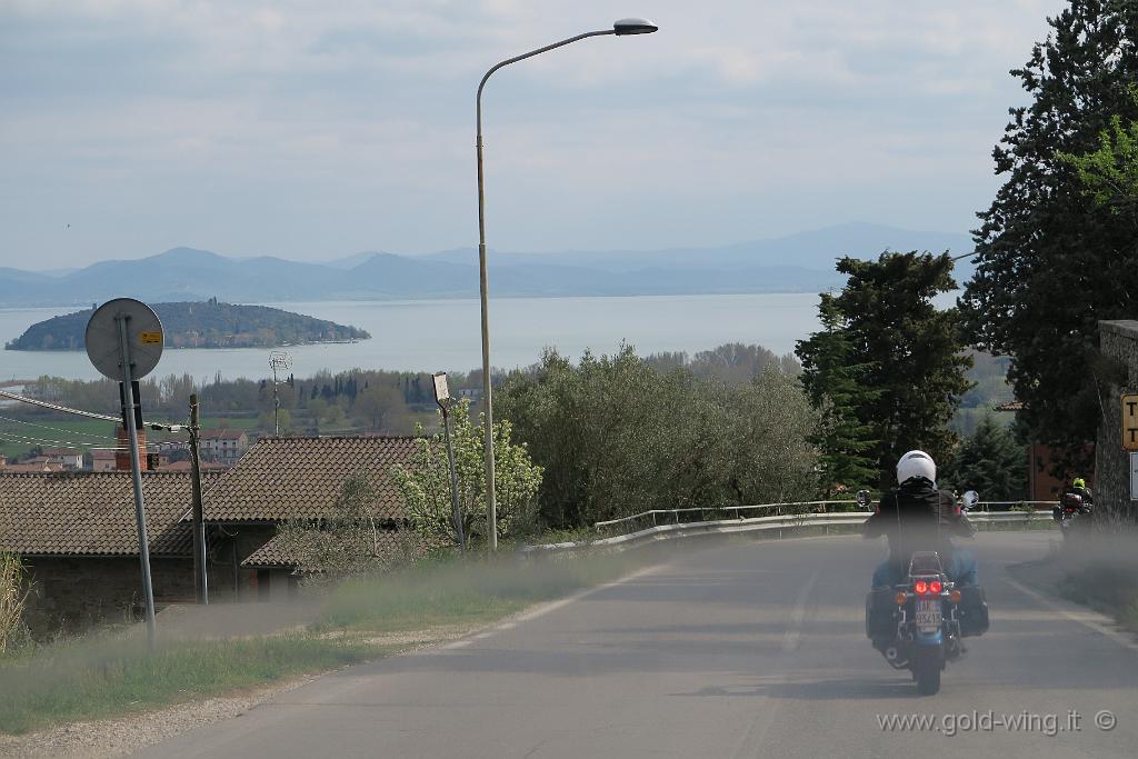 IMG_0361.JPG - Discesa da Gosparini (m 604), verso il Lago Trasimeno (m 258)