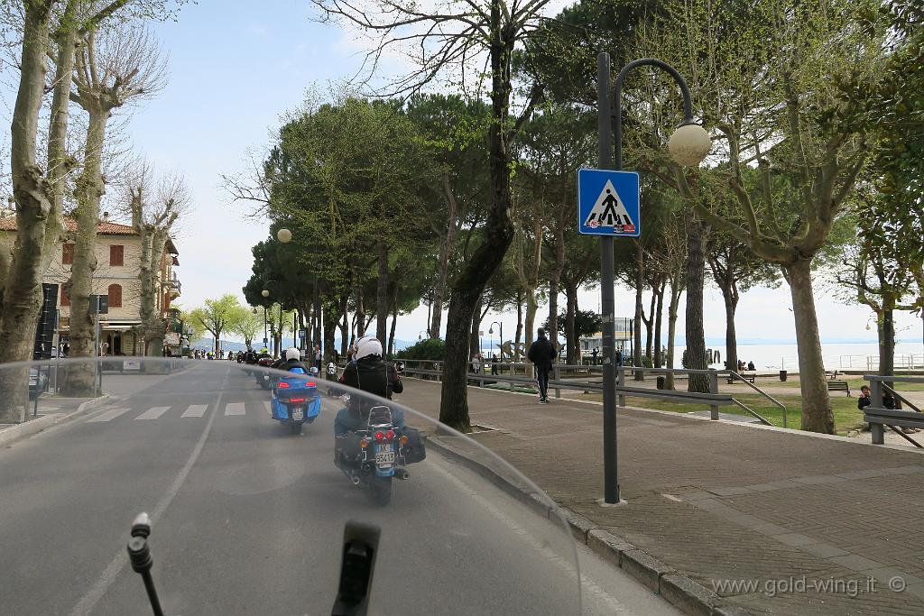 IMG_0370.JPG - Passignano sul Trasimeno (PG)