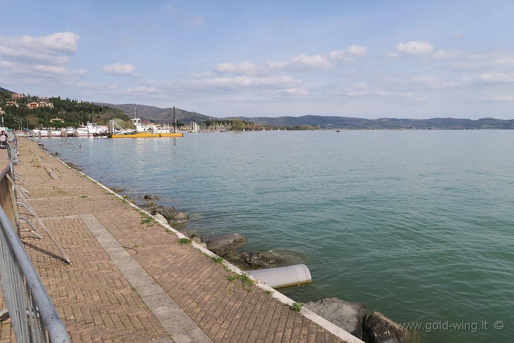 IMG_0375.JPG - Passignano sul Trasimeno (PG)